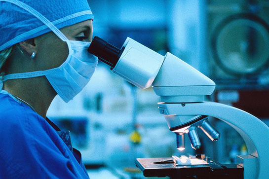 Kemik İliği Transplantasyonu Nedir?